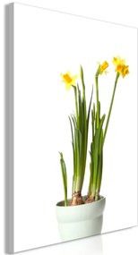 Quadro Narcissus (1 Part) Vertical