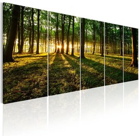 Quadro Shade of Trees I  Colore Marrone, Dimensioni e Misure 225x90