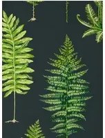 Tapete Fernery von Sanderson - Botanical Green/ Charcoal