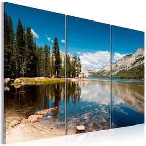 Quadro Montagne, alberi e lago puro come il cristallo  Colore Verde, Dimensioni e Misure 60x40