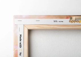 Stampa su tela – Papavero al sole