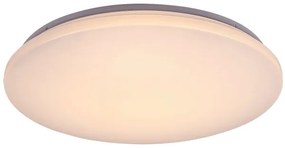 Rabalux 71035 - Plafoniera LED RGB dimmerabile CERRIGEN LED/24W/230V