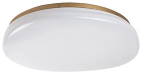 Rabalux 75053 - Plafoniera da bagno LED CALIOPE LED/24W/230V IP44 Ø 41 cm