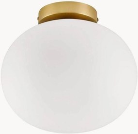 Lampada da soffitto Alton