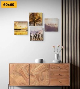 Set di quadri – Bellezze naturali