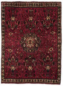 Gashghai Tappeto 210 x 290 (Iran) Annodato A Mano