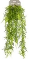 Emerald Asparagus Plumosus Artificiale 80 cm 423622