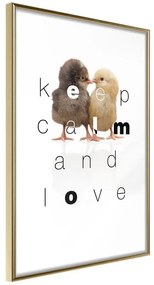 Poster  Cute Chicks  Cornice Quadri Cornice d'oro, Larghezza x Altezza Home decor 20x30