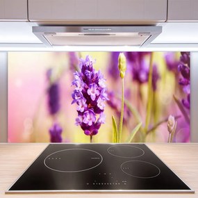 Pannello cucina paraschizzi Fiori, piante, natura 100x50 cm