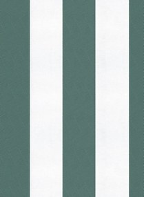 Coordonne Carta da parati Stripe 8 - Parra