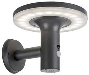 Rabalux 77017 - Luce solare a LED con sensore ALASKA LED/10W/3,7V IP44