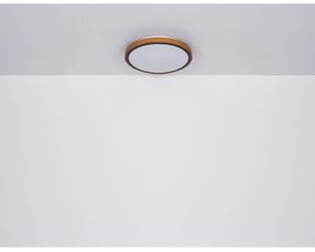 Globo 41766-24 - Plafoniera LED SAMMI LED/24W/230V 3000/4500/6000K