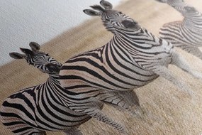 Stampa su tela – Tre zebre nella savana