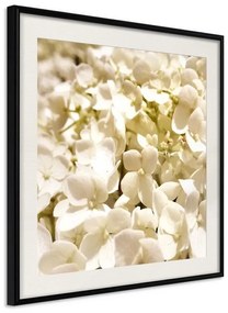 Poster  Soothing Flowers  Cornice Quadri Cornice nera con pass-partout, Larghezza x Altezza Home decor 50x50