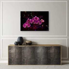 Quadro su tela, Orchidea su uno sfondo scuro  Dimensioni 90x60