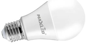 Lampadina LED A70 E27/17W/230V 4000K