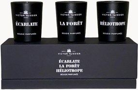 Set di 3 candele profumate Bougie (Écarlate, alt.éliotrope, La Forêt)