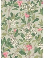 Cole & Son Carta da parati Strawberry Tree - Pink & Duck Egg