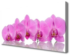 Quadro su tela Fiori di orchidea rosa 100x50 cm