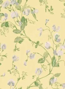 Cole & Son Carta da parati Sweet Pea - Yellow