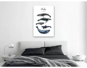 Quadro  Whales (1 Part) Vertical  Larghezza x Altezza Home decor 40x60