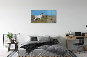 Quadro acrilico Campo unicorno 100x50 cm