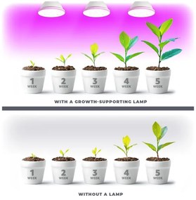 LED Lampadina per la crescita delle piante VITABLOOM E27/9W/230V 1200K bianco - Brilagi