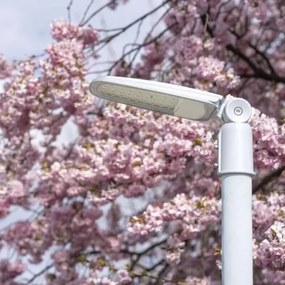 Lampada stradale LED SOLIS LED/30W/230V 3000K IP65