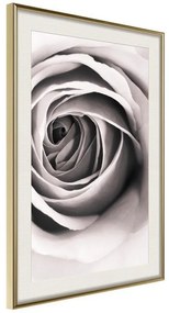 Poster  Structure of Petals  Cornice Quadri Cornice d'oro con passe-partout, Larghezza x Altezza Home decor 30x45