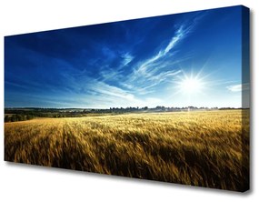 Quadro su tela Paesaggio del sole del campo di mais 100x50 cm