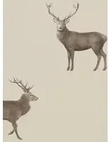 Hirsch Tapete Evesham Deer von Sanderson - Birch
