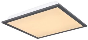 Globo 416080D1 - Plafoniera LED DORO LED/12W/230V