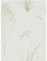 Florale Tapete Farne Grasses von Sanderson - Cream/ Sage