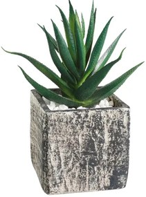 Eglo 428008 - Pianta artificiale CHITOSE 13x9,5 cm in vaso, succulenta