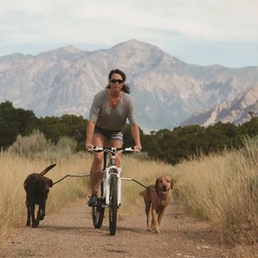 Petego guinzaglio universale da bicicletta per cani cycleash 85 cm