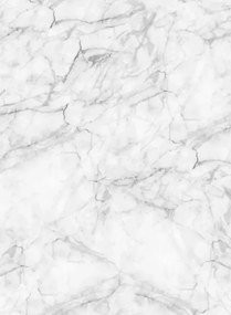 Rebel Walls Carta da parati panoramica Marble Art - White