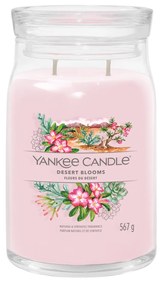 Desert Blooms, candela giara grande Yankee Candle