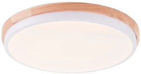 Brilliant - Plafoniera LED dimmerabile BAARLO LED/24W/230V diametro 35 cm bianco