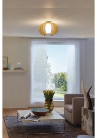 Eglo 95597 - Plafoniera STELLATO 1 1xE27/60W/230V