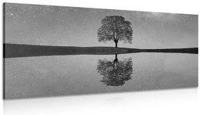 Quadro su tela – Cielo stellato sopra un albero solitario in bianco e nero