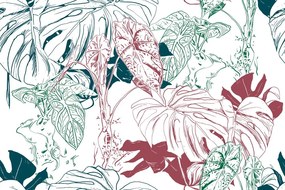 Carta da parati – Foglie colorate di monstera
