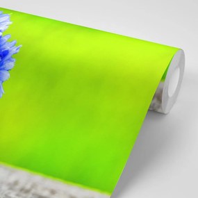 Carta da parati autoadesiva – Fiori nel secchio