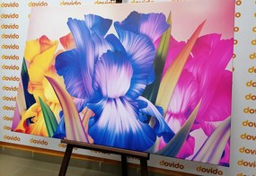 Quadro su tela – Fantasia floreale