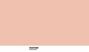 Trapunta Sweet Peach Pantone - Letto da 90 (180 x 260 cm)