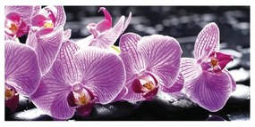 Stampa su tela Orchid Violet, multicolore 90 x 190 cm