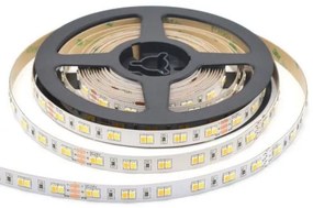 Strip led 2835 120led/m 24w/m 1000lm/m dc24v cct 500x1cm