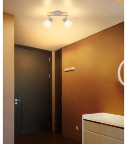 Globo 54317-2 - Faretto PLANTA 2xE14/40W/230V