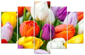 Quadri Quadro 5 pezzi Stampa su tela Fiori di tulipani colorati