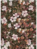 Coordonne Carta da parati Floral Tapestry - Lilac