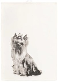 Asciugamano in cotone 70x50 cm Farm - Tiseco Home Studio